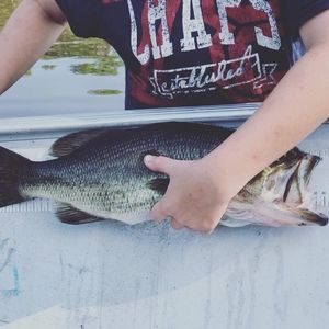 Meet your Posher, Braden